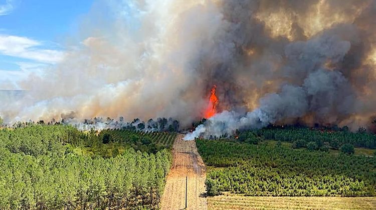 INCENDIES - Un nouveau plan de lutte dans les Landes